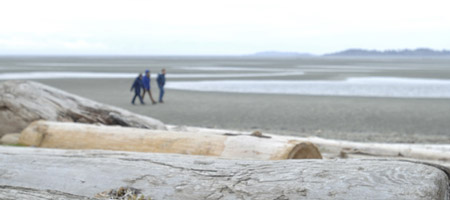 Rathtrevor Beach