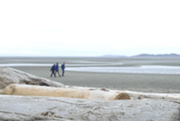 Rathtrevor Beach