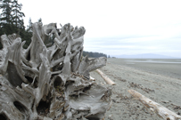 Rathtrevor Beach