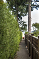 Path to Rathtrevor Beach