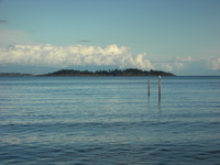Rathtrevor Pilings